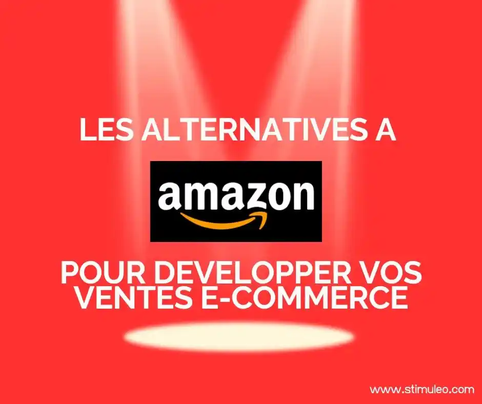 les-alternatives-amazon-développer-ventes-logistique